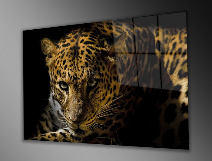 Wallity Pintura en Vidrio Templado Decorativo 90 x 60 cm Multicolor